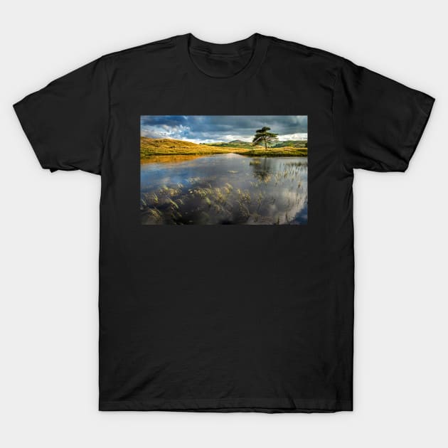 Kelly Hall Tarn Lake View with Pine Tree T-Shirt by TonyNorth